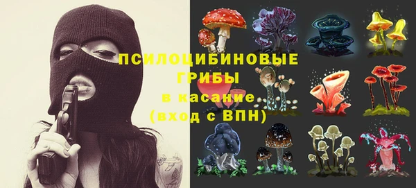 spice Арсеньев