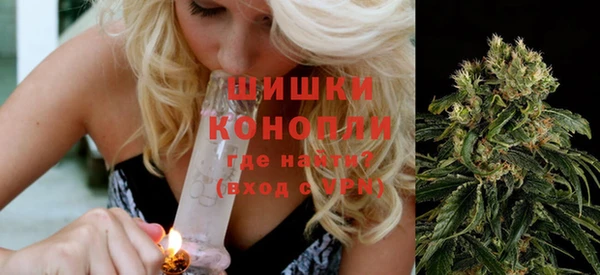 spice Арсеньев