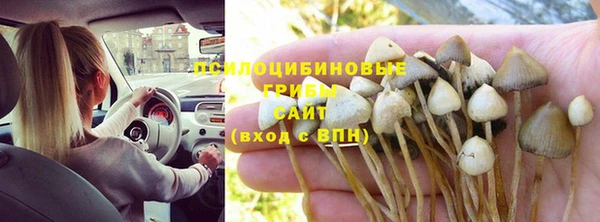 стафф Армянск